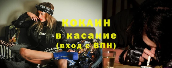 хмурый Новозыбков