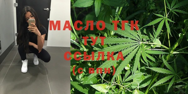 хмурый Новозыбков