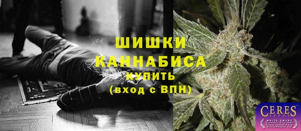 хмурый Новозыбков