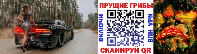 Галлюциногенные грибы Psilocybe  Купить  Пролетарск 